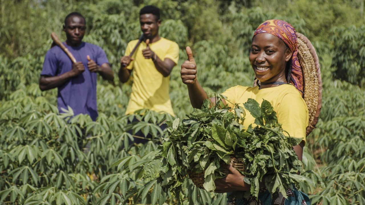 E4Impact Foundation and Coldiretti boost sustainable farming