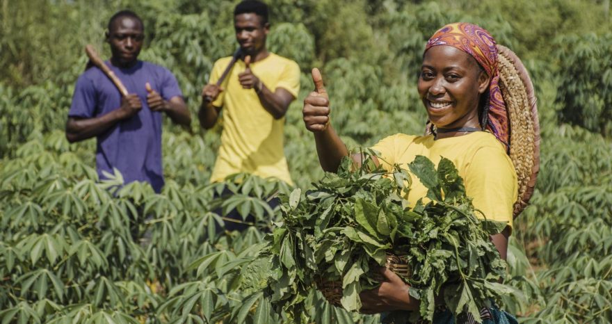 Rinnovabili • E4Impact Foundation and Coldiretti boost sustainable farming