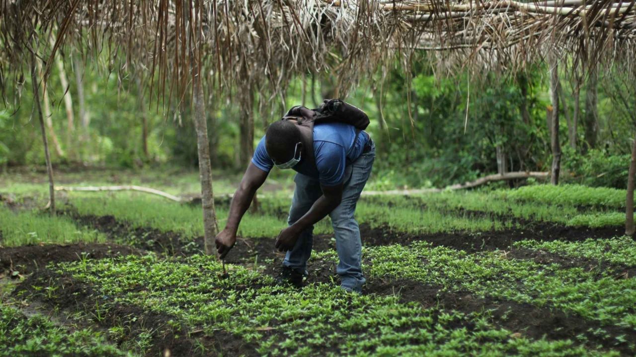 Rinnovabili • Agriculture in Africa: solar-powered irrigation for farmers