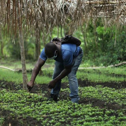 Rinnovabili • Agriculture in Africa: solar-powered irrigation for farmers