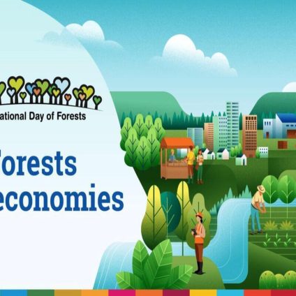 Rinnovabili • International Day of Forests 2026: Forests and economies