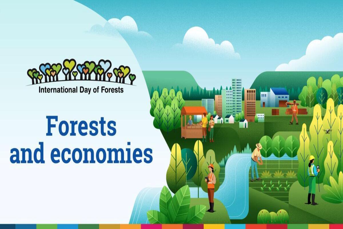 Rinnovabili • International Day of Forests 2026: Forests and economies