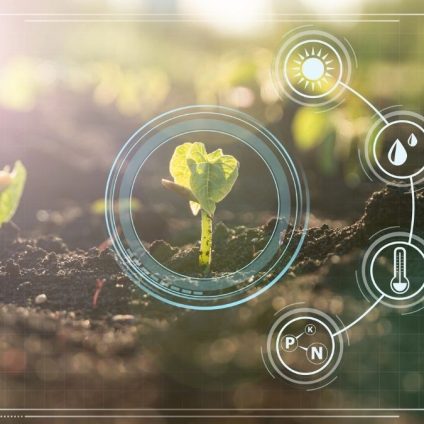 Rinnovabili • Solar agritech transforming Burkina Faso farming