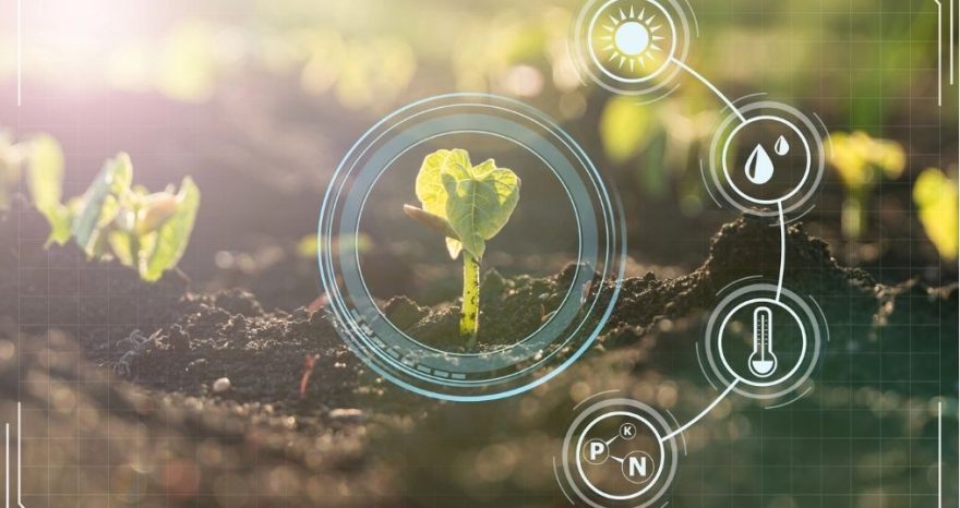 Rinnovabili • Solar agritech transforming Burkina Faso farming