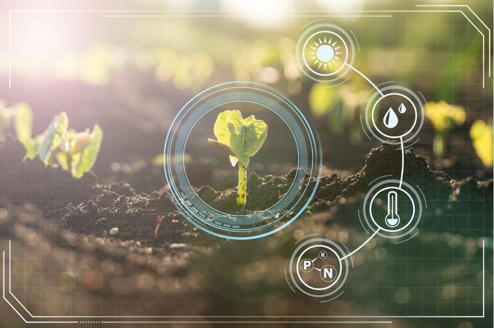 Rinnovabili • Solar agritech transforming Burkina Faso farming